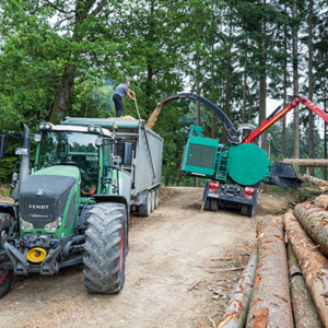 Forstwirtschaft Staufen, Münstertal